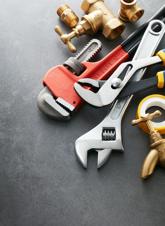 professional plumbers